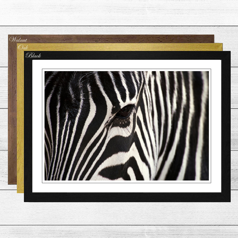 Big Box Art 'Zebra 4' Framed Photographic Print Wayfair.co.uk